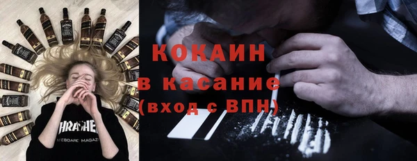 крисы Алексин
