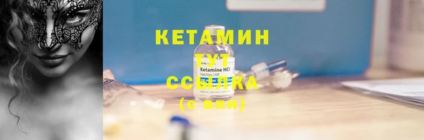 крисы Алексин