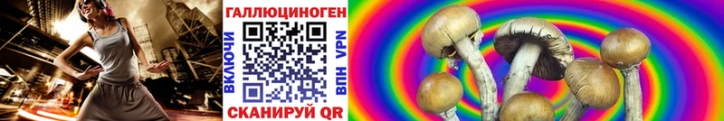 Галлюциногенные грибы Cubensis закладка Лобня