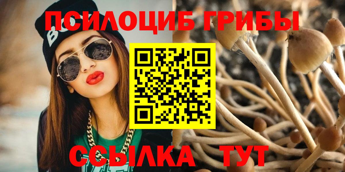 Псилоцибиновые грибы Psilocybe  Галлюциногенные грибы мицелий  Вход с VPN  Лобня 
